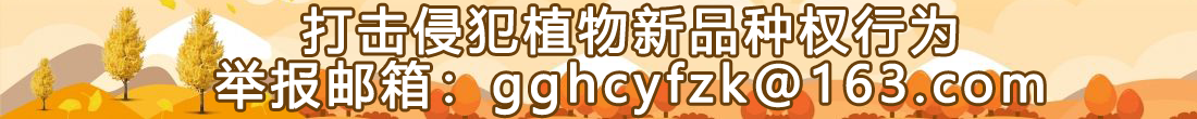 打击侵犯植物新品种权行为 举报邮箱：gghcyfzk@163.com