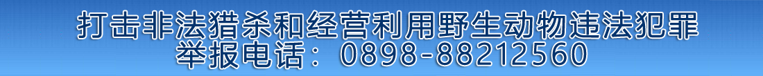 打击非法猎杀和经营利用野生动物非法犯罪 举报电话：0898-88212560