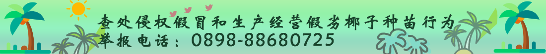 查处侵权假冒和生产经营假劣椰子种苗行为 举报电话：0898-88680725