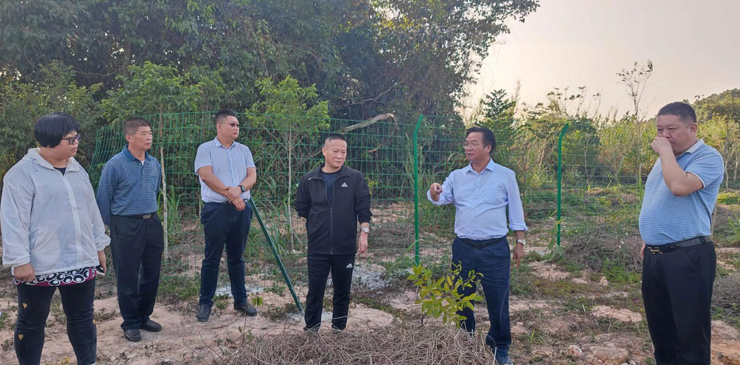 王瑞安一行到海棠区及甘什岭自然保护区督导检查林业工作